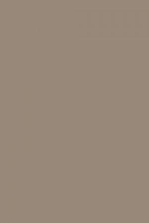 FARROW AND BALL CHARLESTON GRAY NO. 243 PAINT